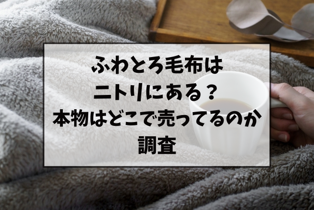 ふわとろ毛布はニトリにある？本物はどこで売ってるのか調査